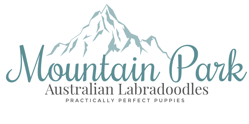Mountain Park Labradoodles Logo